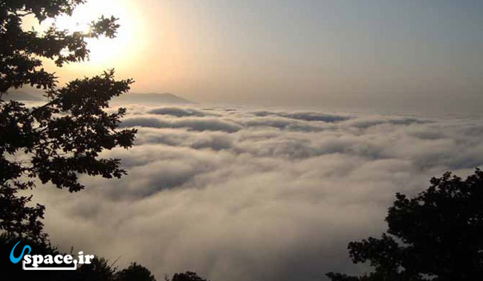 جنگل ابر در فاصله 11 کیلومتری اقامتگاه کوهنوردان زولان جنگل ابر - شاهرود - روستای ابر