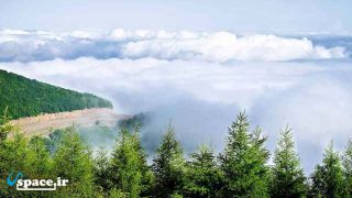 جنگل ابر در فاصله 11 کیلومتری اقامتگاه کوهنوردان زولان جنگل ابر - شاهرود - روستای ابر